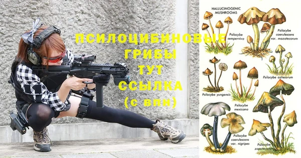 МДПВ Балахна