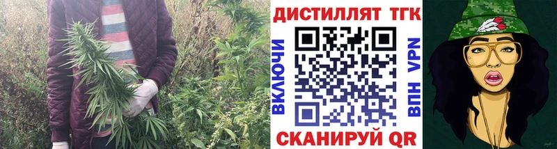 Дистиллят ТГК гашишное масло  Купить где  Сковородино 