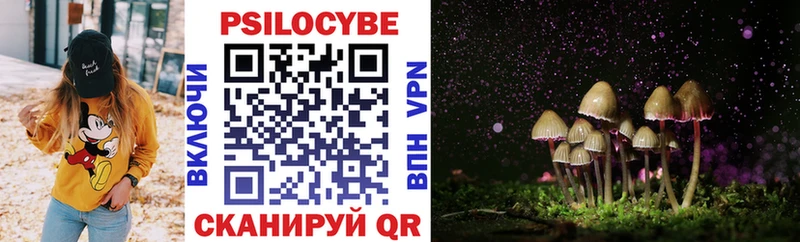 Купить  Сковородино  Псилоцибиновые грибы прущие грибы 